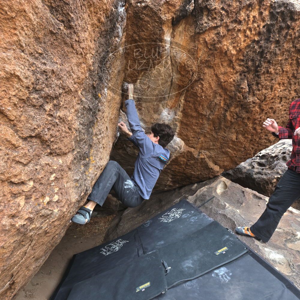 

Filename: SRM_20221120_1150481.jpg
Aperture: f/5.6
Shutter Speed: 1/320
Body: Canon EOS R6
Lens: Canon EF 16-35mm f/2.8 L