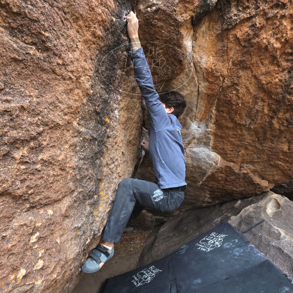 

Filename: SRM_20221120_1150540.jpg
Aperture: f/5.6
Shutter Speed: 1/320
Body: Canon EOS R6
Lens: Canon EF 16-35mm f/2.8 L