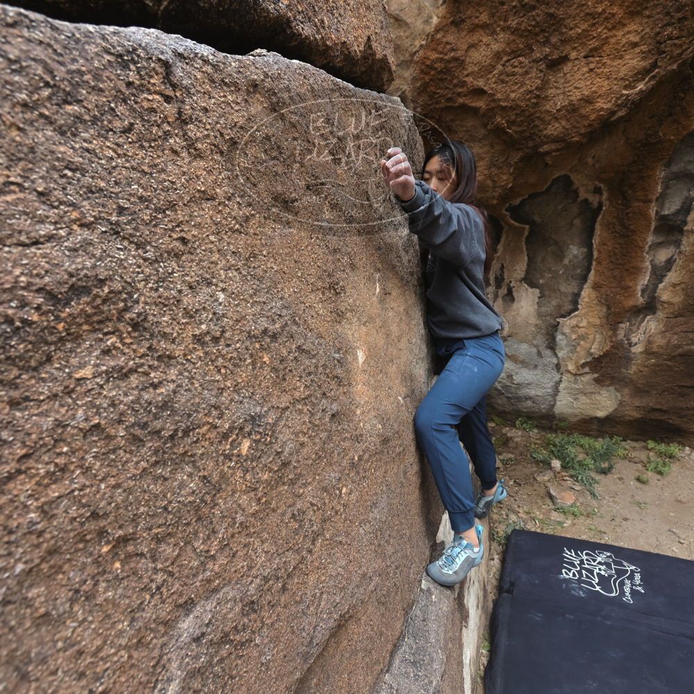 

Filename: SRM_20221120_1159560.jpg
Aperture: f/5.6
Shutter Speed: 1/320
Body: Canon EOS R6
Lens: Canon EF 16-35mm f/2.8 L