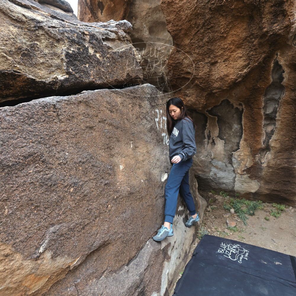 

Filename: SRM_20221120_1203120.jpg
Aperture: f/5.6
Shutter Speed: 1/320
Body: Canon EOS R6
Lens: Canon EF 16-35mm f/2.8 L