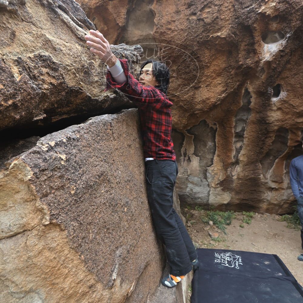 

Filename: SRM_20221120_1204220.jpg
Aperture: f/5.6
Shutter Speed: 1/320
Body: Canon EOS R6
Lens: Canon EF 16-35mm f/2.8 L