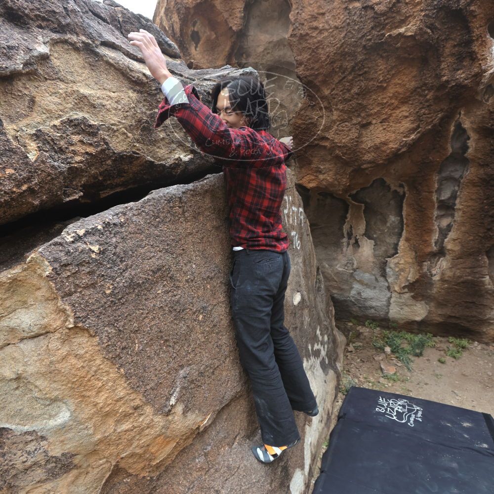 

Filename: SRM_20221120_1204250.jpg
Aperture: f/5.6
Shutter Speed: 1/320
Body: Canon EOS R6
Lens: Canon EF 16-35mm f/2.8 L