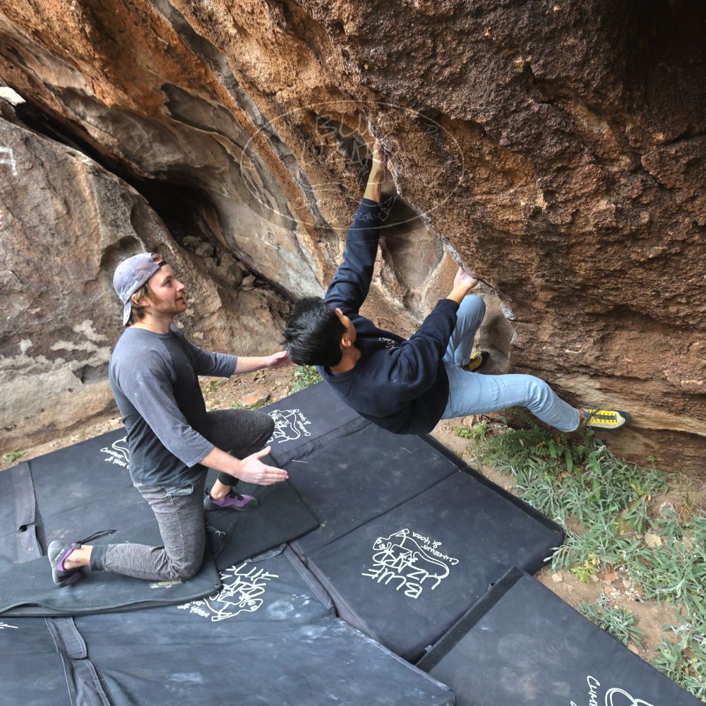 

Filename: SRM_20221120_1220320.jpg
Aperture: f/5.6
Shutter Speed: 1/320
Body: Canon EOS R6
Lens: Canon EF 16-35mm f/2.8 L