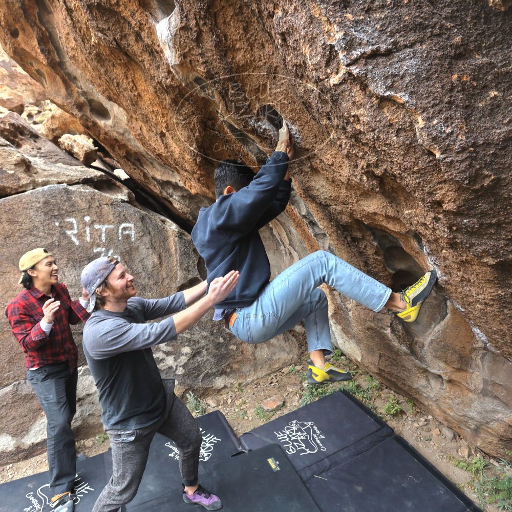 

Filename: SRM_20221120_1220460.jpg
Aperture: f/5.6
Shutter Speed: 1/320
Body: Canon EOS R6
Lens: Canon EF 16-35mm f/2.8 L