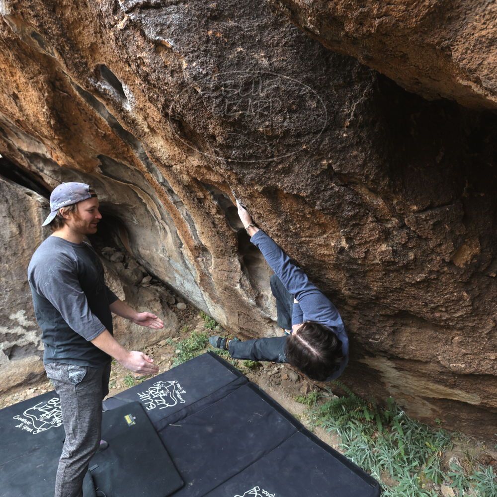 

Filename: SRM_20221120_1221560.jpg
Aperture: f/5.6
Shutter Speed: 1/320
Body: Canon EOS R6
Lens: Canon EF 16-35mm f/2.8 L