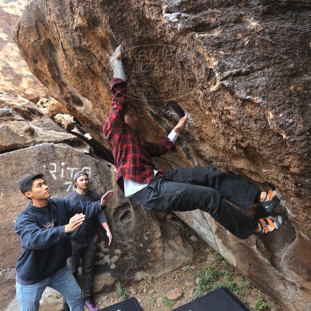 

Filename: SRM_20221120_1227050.jpg
Aperture: f/5.6
Shutter Speed: 1/320
Body: Canon EOS R6
Lens: Canon EF 16-35mm f/2.8 L