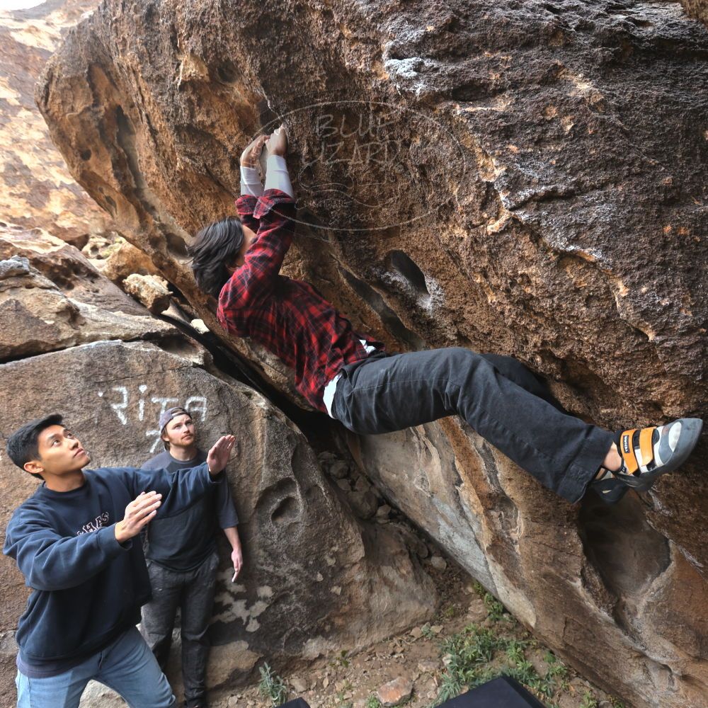 

Filename: SRM_20221120_1227070.jpg
Aperture: f/5.6
Shutter Speed: 1/320
Body: Canon EOS R6
Lens: Canon EF 16-35mm f/2.8 L