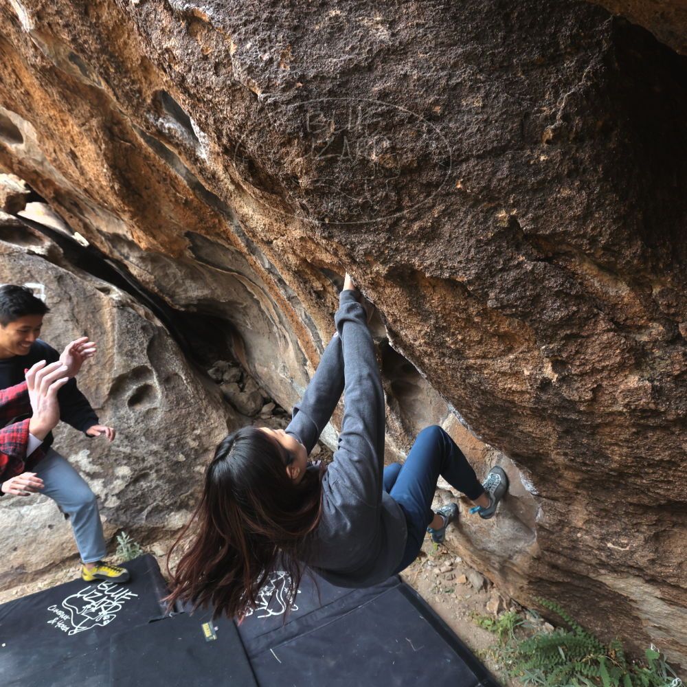 

Filename: SRM_20221120_1234100.jpg
Aperture: f/5.6
Shutter Speed: 1/320
Body: Canon EOS R6
Lens: Canon EF 16-35mm f/2.8 L