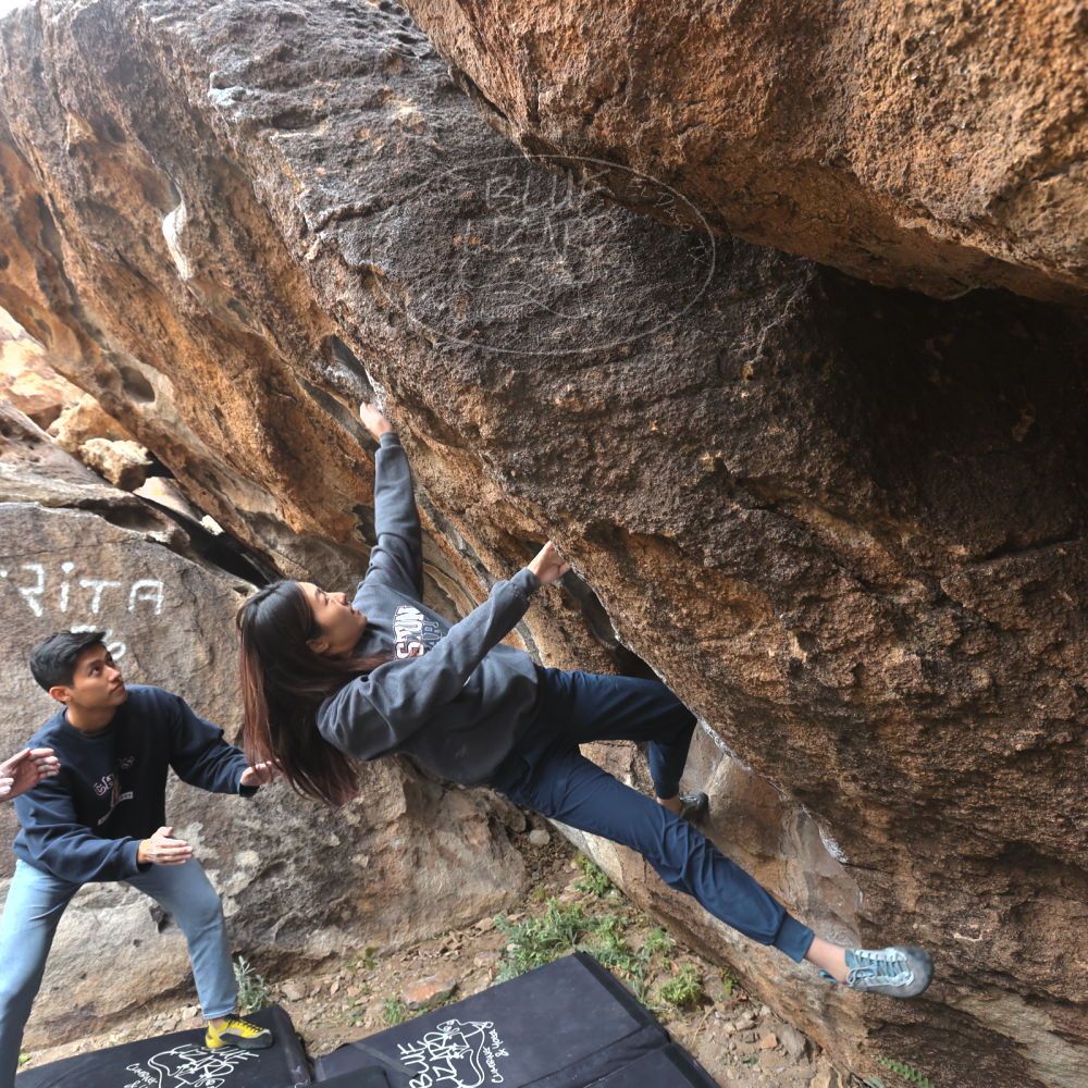 

Filename: SRM_20221120_1234410.jpg
Aperture: f/5.6
Shutter Speed: 1/320
Body: Canon EOS R6
Lens: Canon EF 16-35mm f/2.8 L