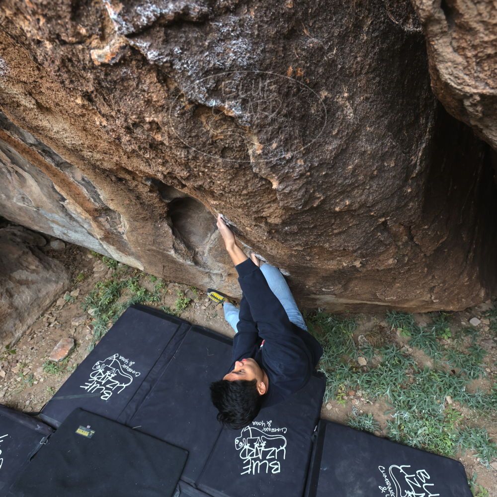 

Filename: SRM_20221120_1235560.jpg
Aperture: f/5.6
Shutter Speed: 1/320
Body: Canon EOS R6
Lens: Canon EF 16-35mm f/2.8 L