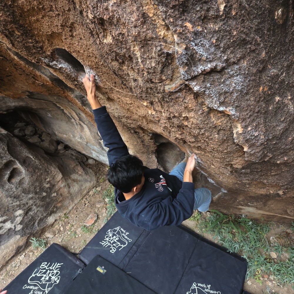 

Filename: SRM_20221120_1235590.jpg
Aperture: f/5.6
Shutter Speed: 1/320
Body: Canon EOS R6
Lens: Canon EF 16-35mm f/2.8 L