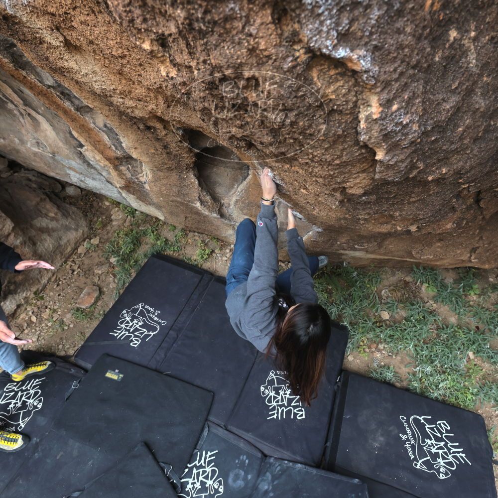 

Filename: SRM_20221120_1237401.jpg
Aperture: f/5.6
Shutter Speed: 1/320
Body: Canon EOS R6
Lens: Canon EF 16-35mm f/2.8 L