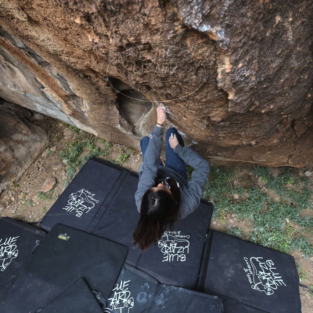 

Filename: SRM_20221120_1239511.jpg
Aperture: f/5.6
Shutter Speed: 1/320
Body: Canon EOS R6
Lens: Canon EF 16-35mm f/2.8 L