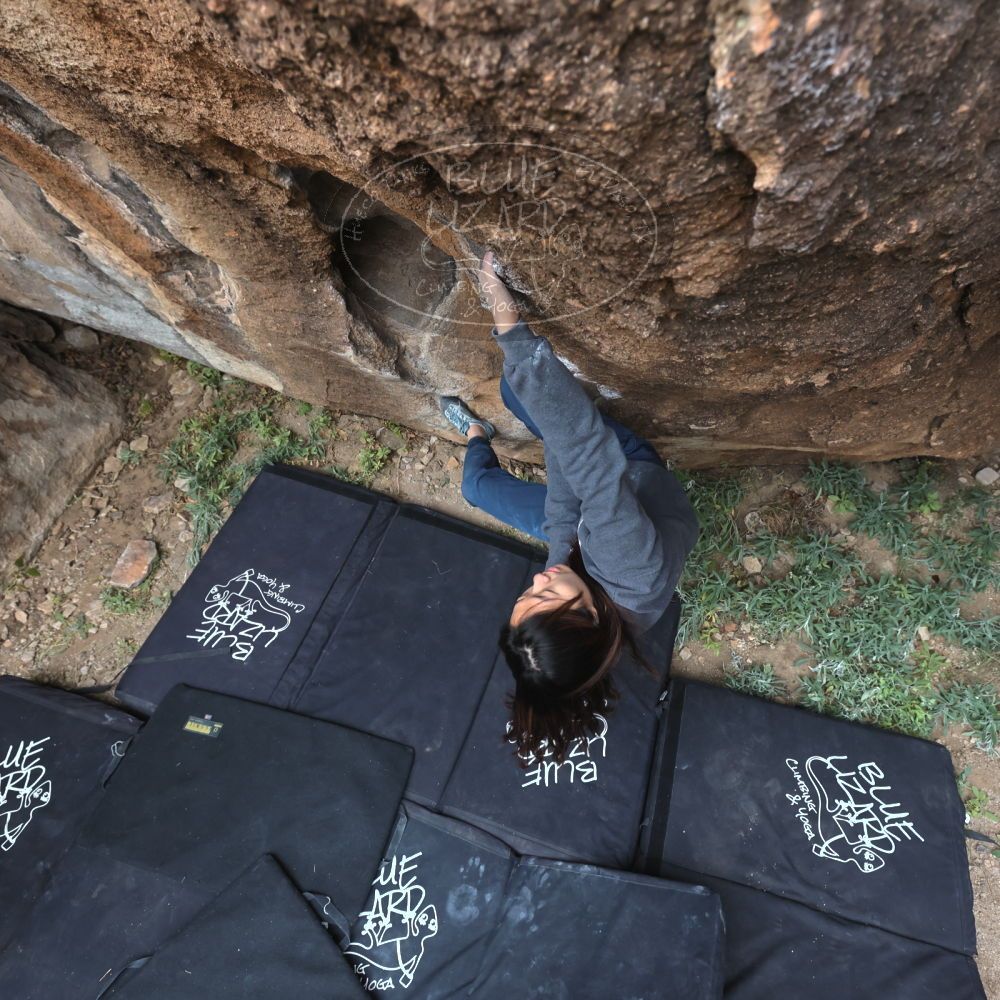 

Filename: SRM_20221120_1240520.jpg
Aperture: f/5.6
Shutter Speed: 1/320
Body: Canon EOS R6
Lens: Canon EF 16-35mm f/2.8 L