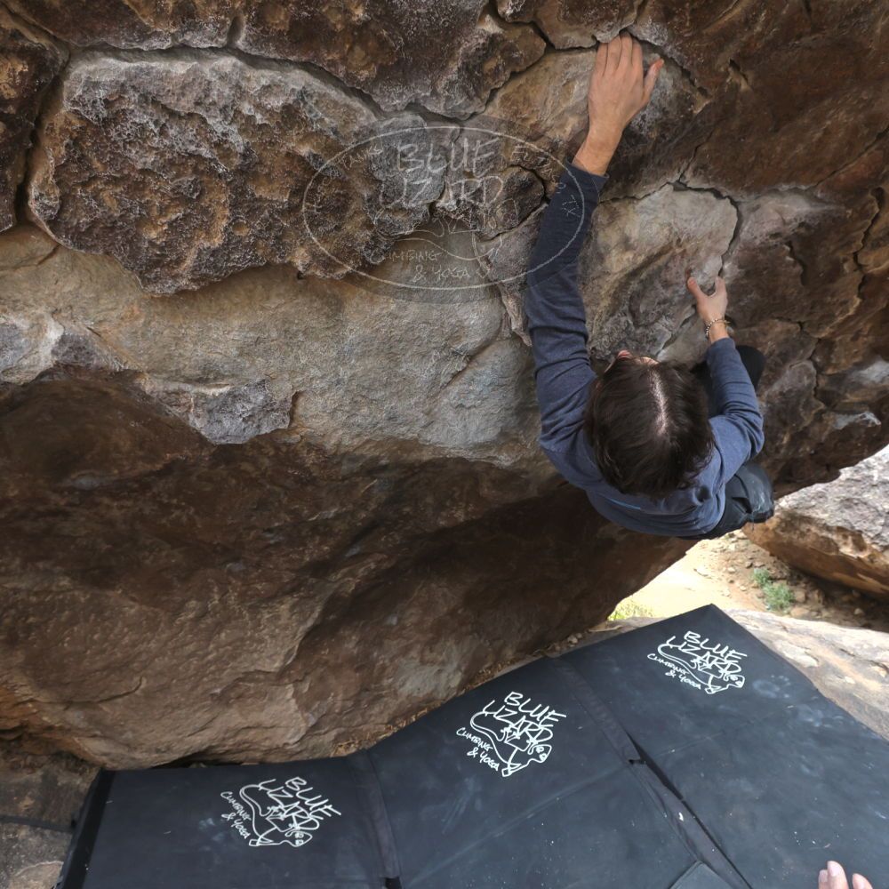 

Filename: SRM_20221120_1250481.jpg
Aperture: f/5.6
Shutter Speed: 1/320
Body: Canon EOS R6
Lens: Canon EF 16-35mm f/2.8 L