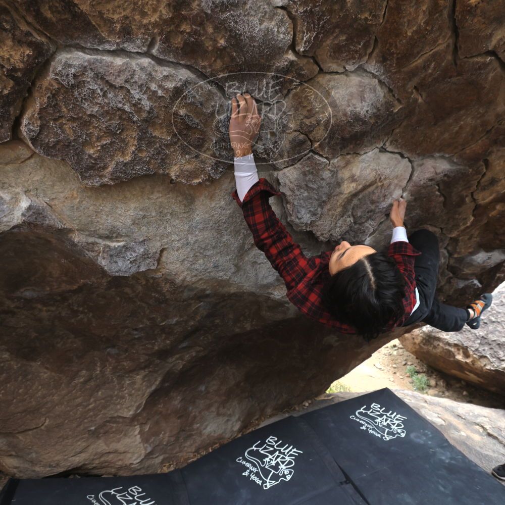 

Filename: SRM_20221120_1251570.jpg
Aperture: f/5.6
Shutter Speed: 1/320
Body: Canon EOS R6
Lens: Canon EF 16-35mm f/2.8 L