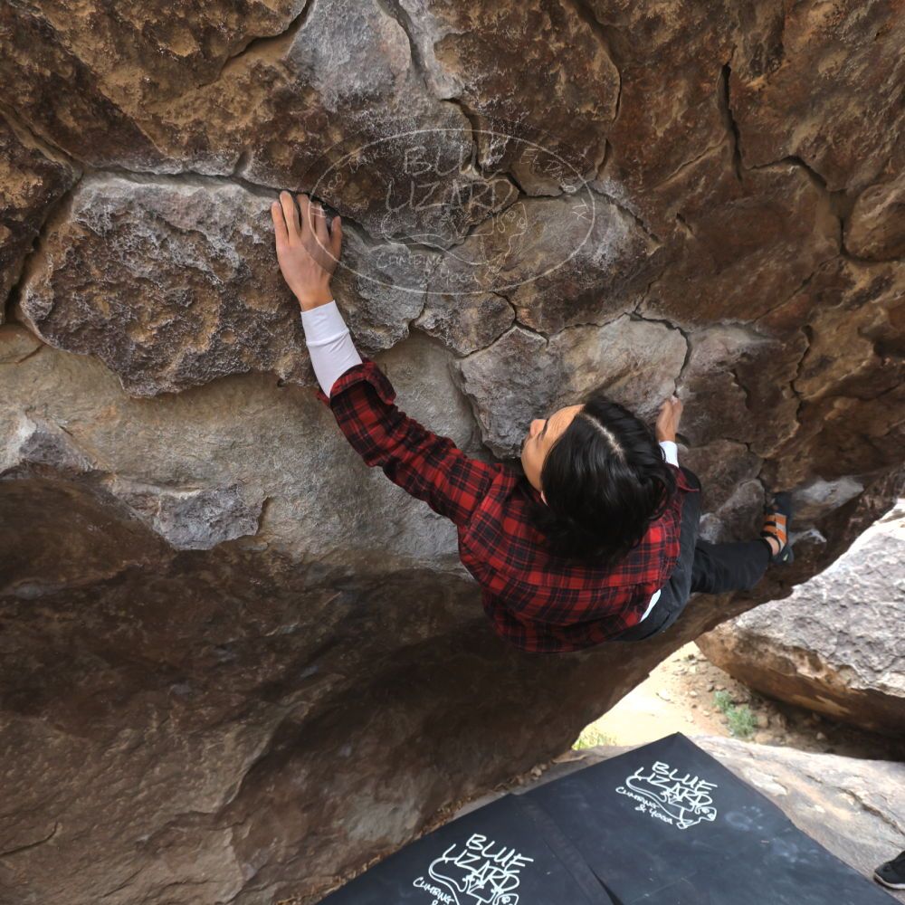 

Filename: SRM_20221120_1252000.jpg
Aperture: f/5.6
Shutter Speed: 1/320
Body: Canon EOS R6
Lens: Canon EF 16-35mm f/2.8 L