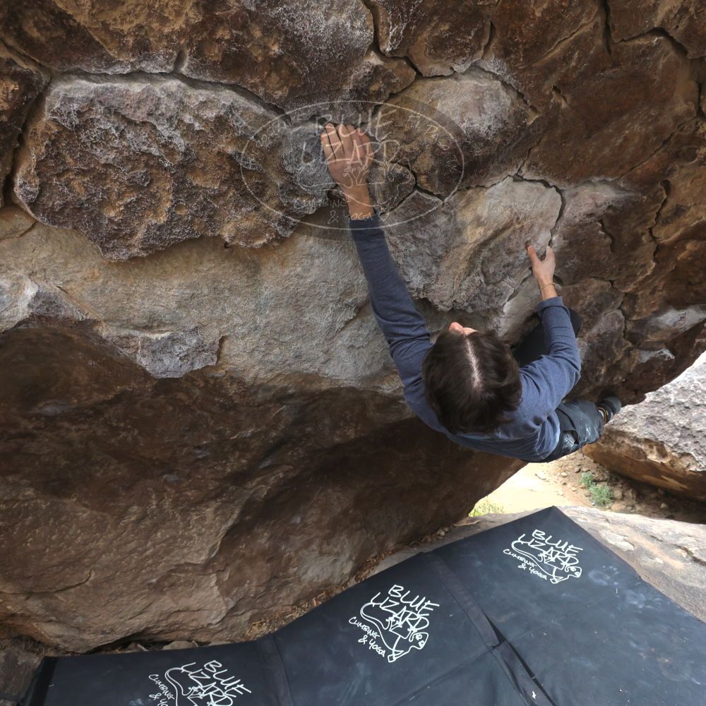 

Filename: SRM_20221120_1256170.jpg
Aperture: f/5.6
Shutter Speed: 1/320
Body: Canon EOS R6
Lens: Canon EF 16-35mm f/2.8 L