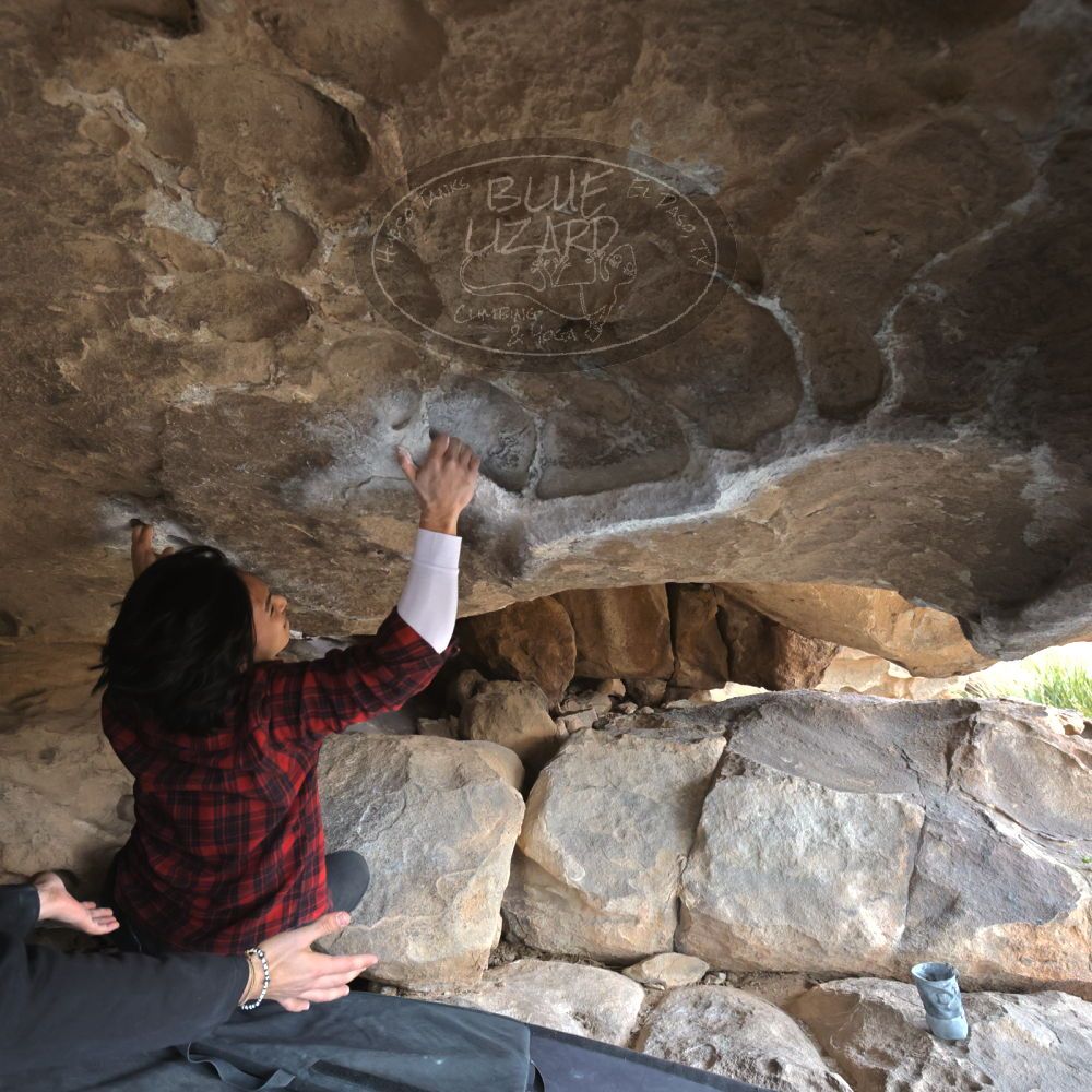 

Filename: SRM_20221120_1425510.jpg
Aperture: f/5.6
Shutter Speed: 1/320
Body: Canon EOS R6
Lens: Canon EF 16-35mm f/2.8 L