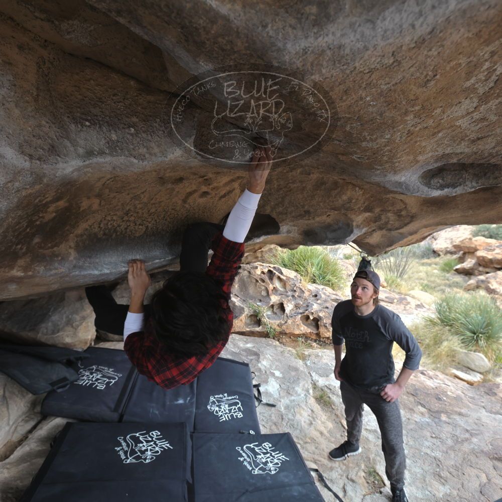 

Filename: SRM_20221120_1426340.jpg
Aperture: f/5.6
Shutter Speed: 1/320
Body: Canon EOS R6
Lens: Canon EF 16-35mm f/2.8 L