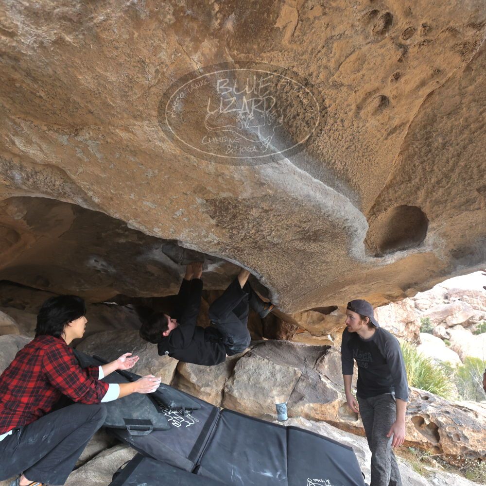 

Filename: SRM_20221120_1429360.jpg
Aperture: f/5.6
Shutter Speed: 1/320
Body: Canon EOS R6
Lens: Canon EF 16-35mm f/2.8 L