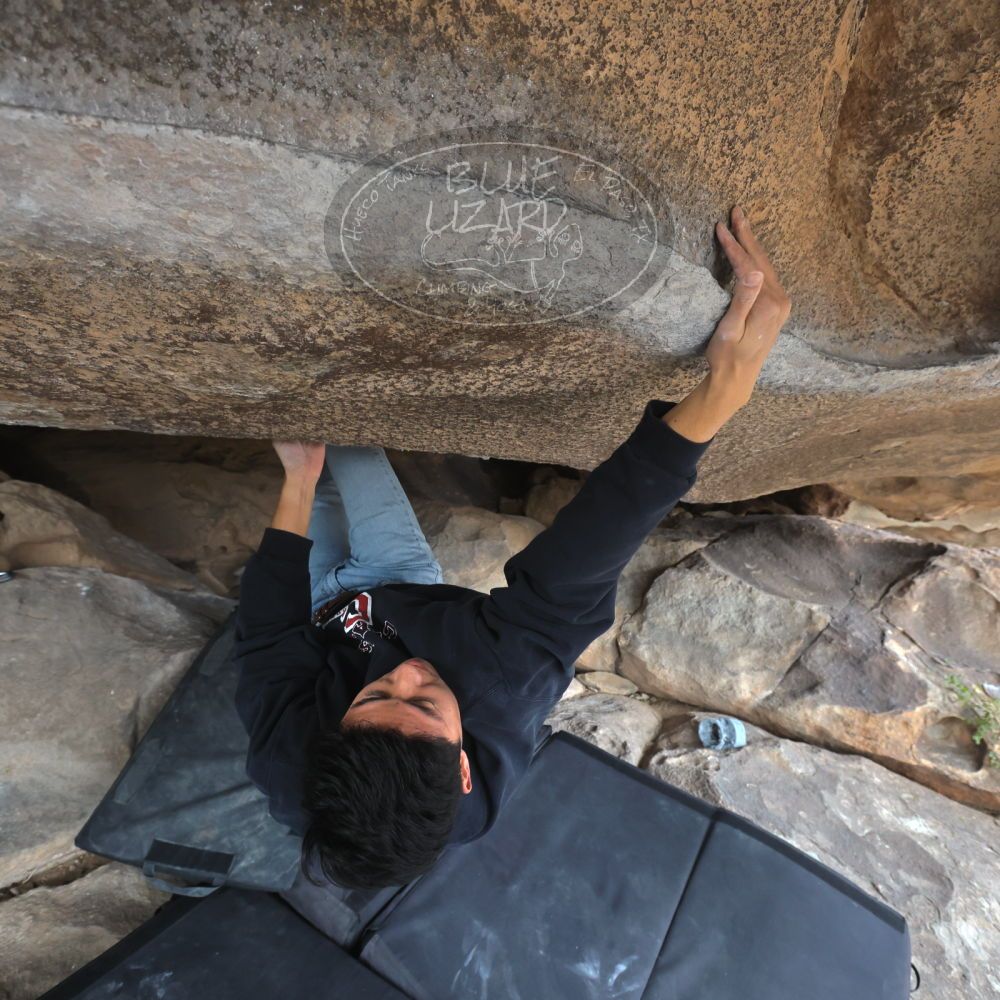 

Filename: SRM_20221120_1437431.jpg
Aperture: f/5.6
Shutter Speed: 1/320
Body: Canon EOS R6
Lens: Canon EF 16-35mm f/2.8 L