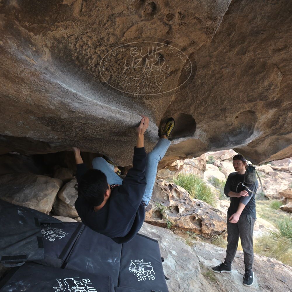 

Filename: SRM_20221120_1437510.jpg
Aperture: f/5.6
Shutter Speed: 1/320
Body: Canon EOS R6
Lens: Canon EF 16-35mm f/2.8 L