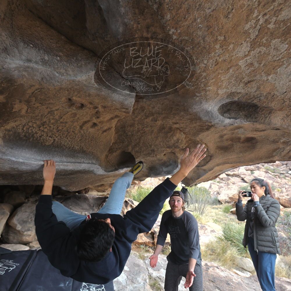 

Filename: SRM_20221120_1438420.jpg
Aperture: f/5.6
Shutter Speed: 1/320
Body: Canon EOS R6
Lens: Canon EF 16-35mm f/2.8 L