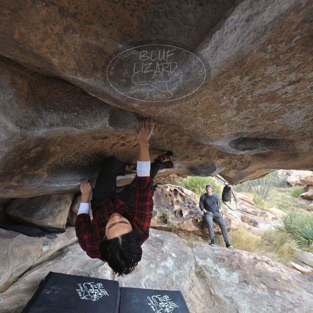 

Filename: SRM_20221120_1442080.jpg
Aperture: f/5.6
Shutter Speed: 1/320
Body: Canon EOS R6
Lens: Canon EF 16-35mm f/2.8 L