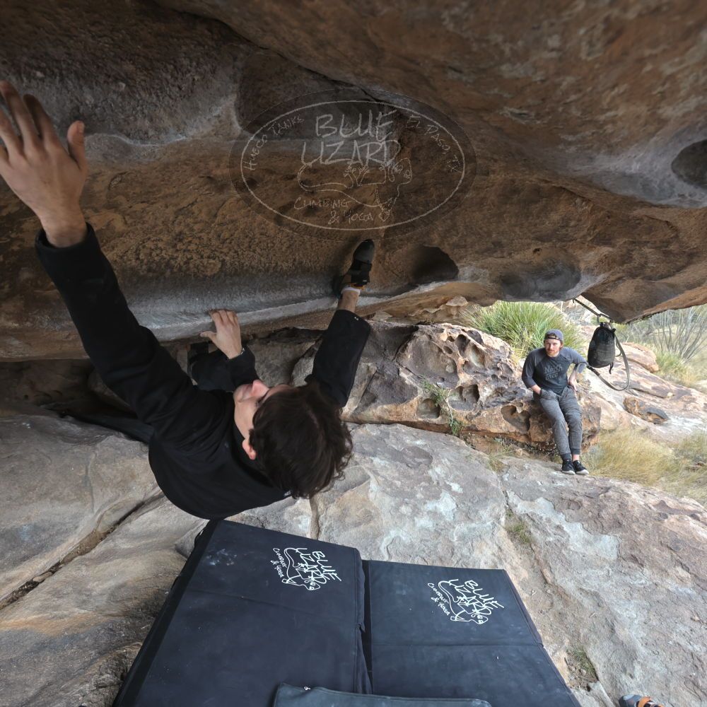 

Filename: SRM_20221120_1443190.jpg
Aperture: f/5.6
Shutter Speed: 1/320
Body: Canon EOS R6
Lens: Canon EF 16-35mm f/2.8 L