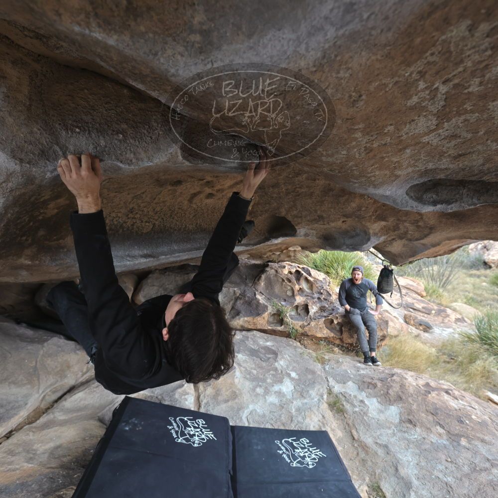 

Filename: SRM_20221120_1443240.jpg
Aperture: f/5.6
Shutter Speed: 1/320
Body: Canon EOS R6
Lens: Canon EF 16-35mm f/2.8 L