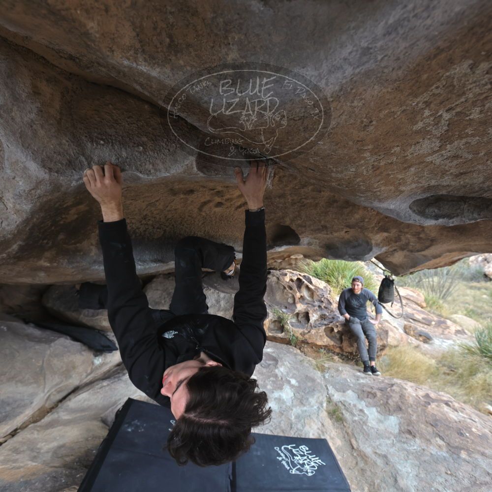 

Filename: SRM_20221120_1443280.jpg
Aperture: f/5.6
Shutter Speed: 1/320
Body: Canon EOS R6
Lens: Canon EF 16-35mm f/2.8 L