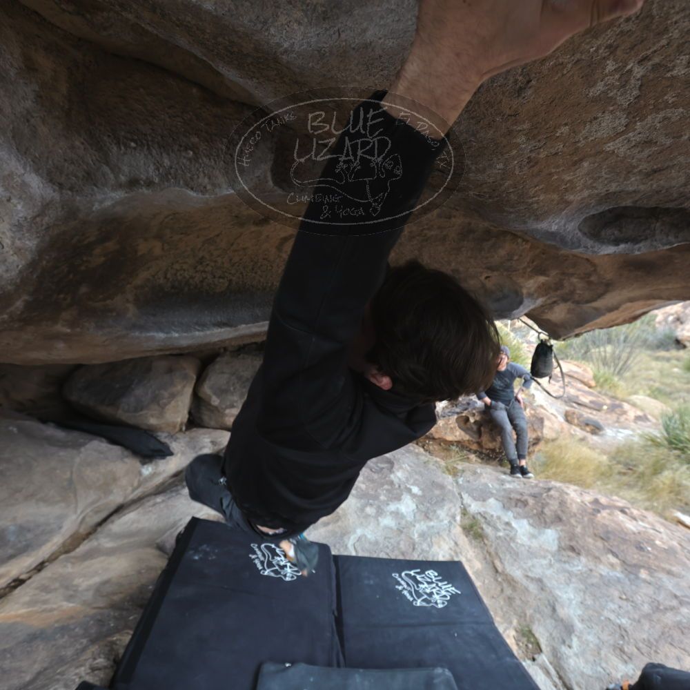 

Filename: SRM_20221120_1443310.jpg
Aperture: f/5.6
Shutter Speed: 1/320
Body: Canon EOS R6
Lens: Canon EF 16-35mm f/2.8 L