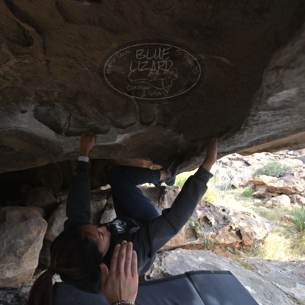 

Filename: SRM_20221120_1450180.jpg
Aperture: f/5.6
Shutter Speed: 1/400
Body: Canon EOS R6
Lens: Canon EF 16-35mm f/2.8 L