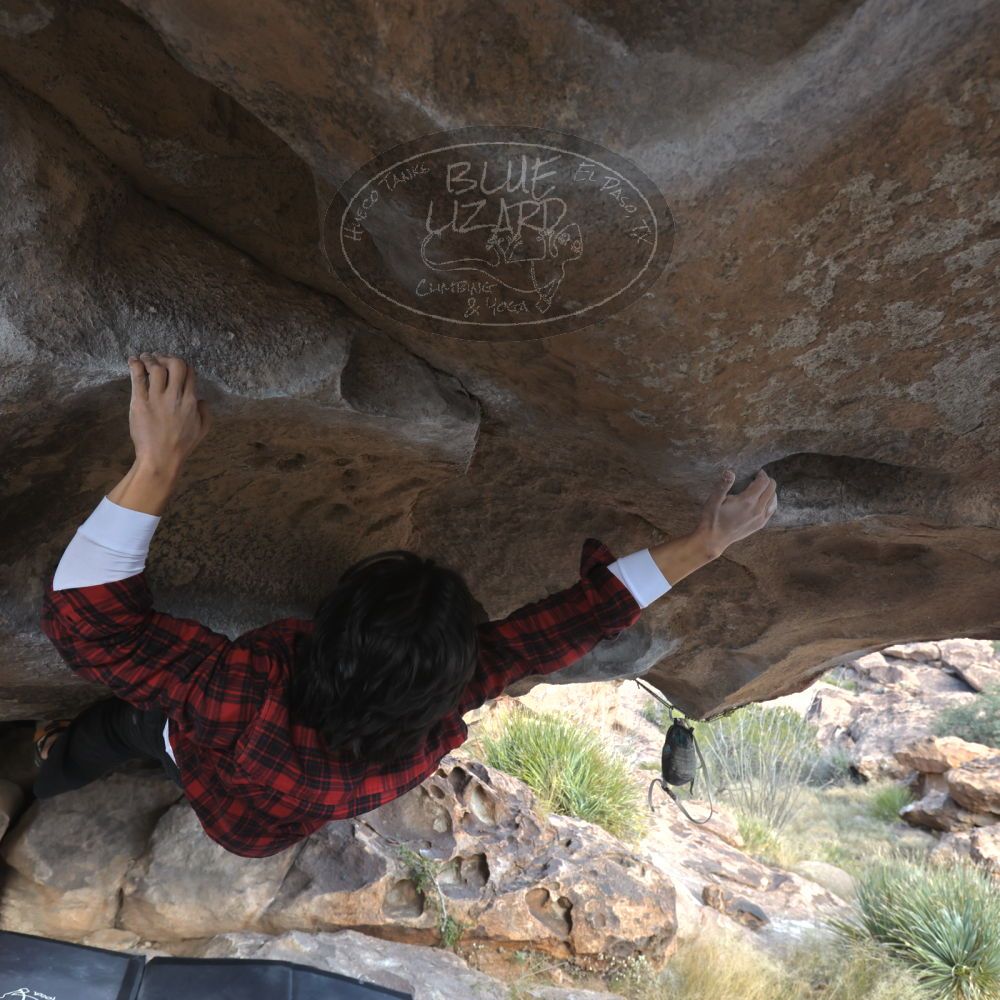 

Filename: SRM_20221120_1456140.jpg
Aperture: f/5.6
Shutter Speed: 1/400
Body: Canon EOS R6
Lens: Canon EF 16-35mm f/2.8 L