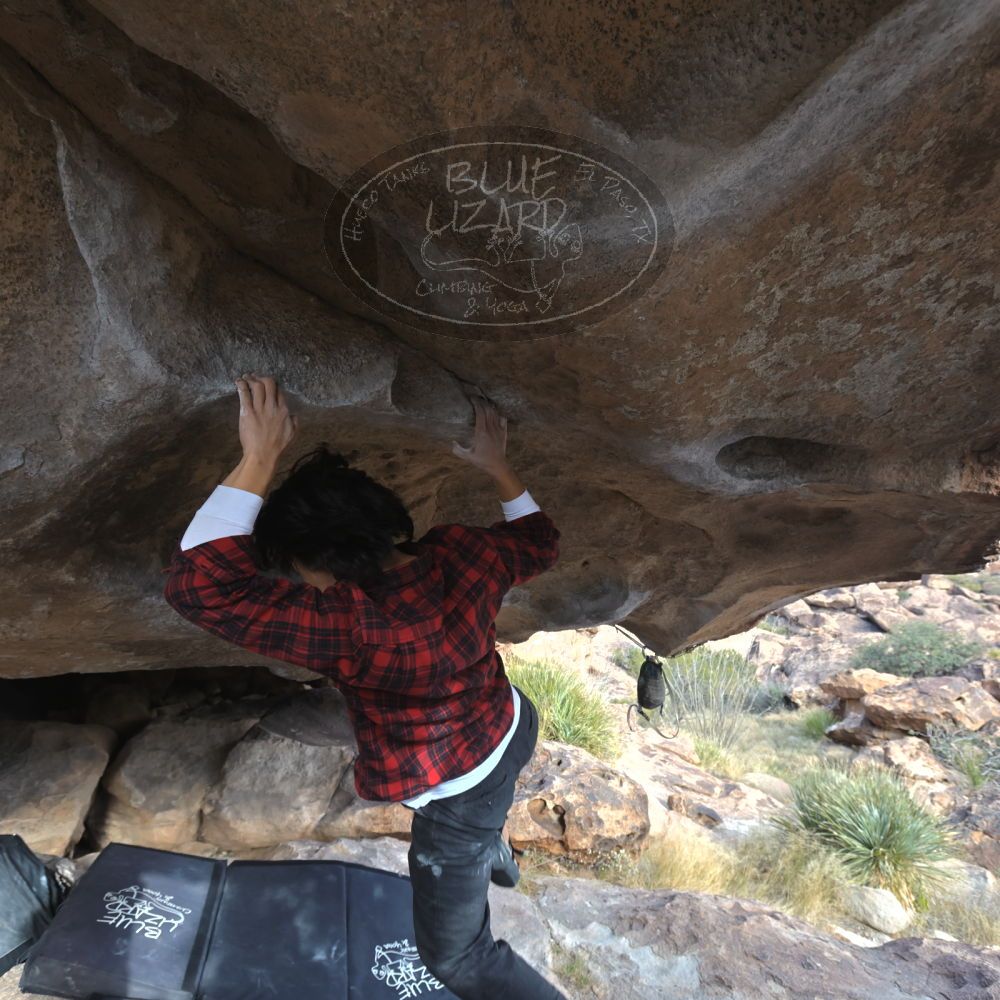 

Filename: SRM_20221120_1456500.jpg
Aperture: f/5.6
Shutter Speed: 1/400
Body: Canon EOS R6
Lens: Canon EF 16-35mm f/2.8 L