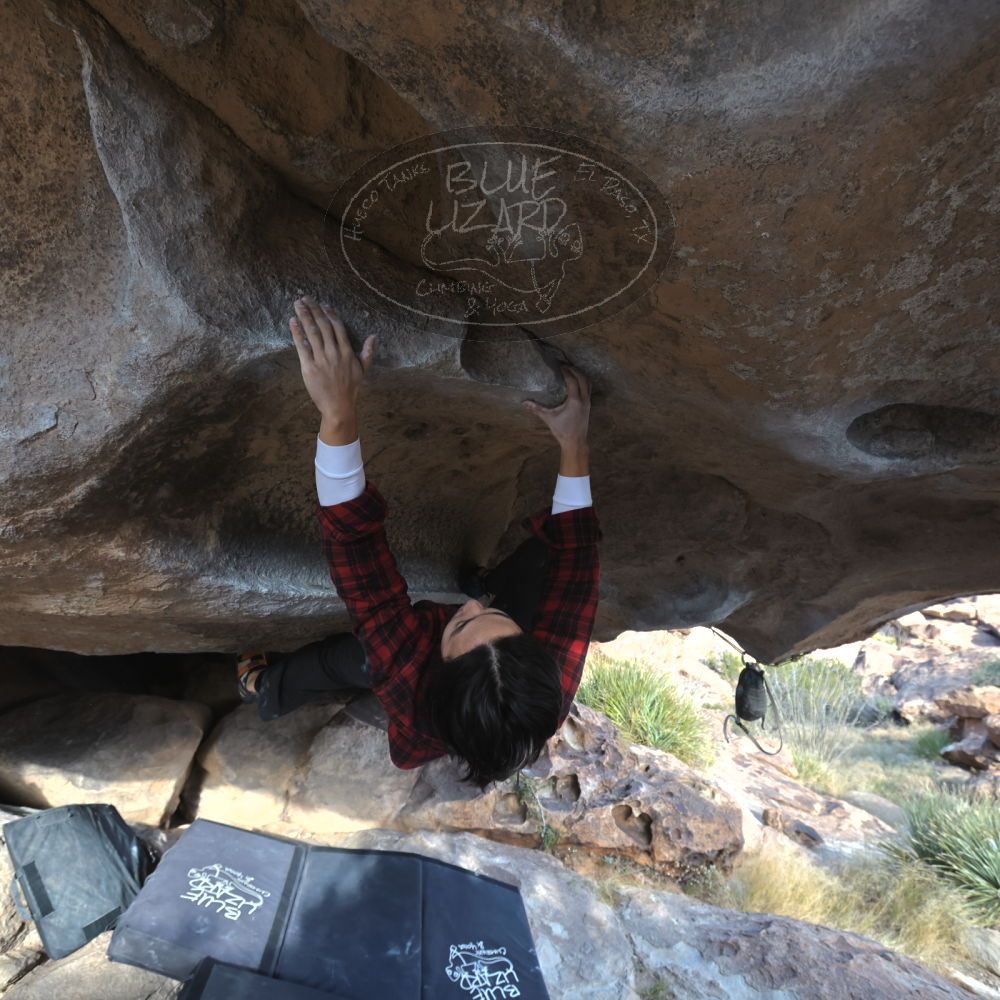 

Filename: SRM_20221120_1511450.jpg
Aperture: f/5.6
Shutter Speed: 1/400
Body: Canon EOS R6
Lens: Canon EF 16-35mm f/2.8 L