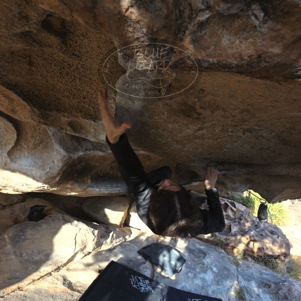 

Filename: SRM_20221120_1526130.jpg
Aperture: f/5.6
Shutter Speed: 1/400
Body: Canon EOS R6
Lens: Canon EF 16-35mm f/2.8 L