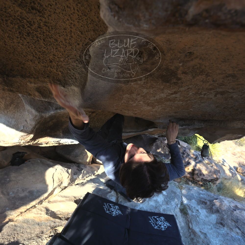 

Filename: SRM_20221120_1535380.jpg
Aperture: f/5.6
Shutter Speed: 1/400
Body: Canon EOS R6
Lens: Canon EF 16-35mm f/2.8 L