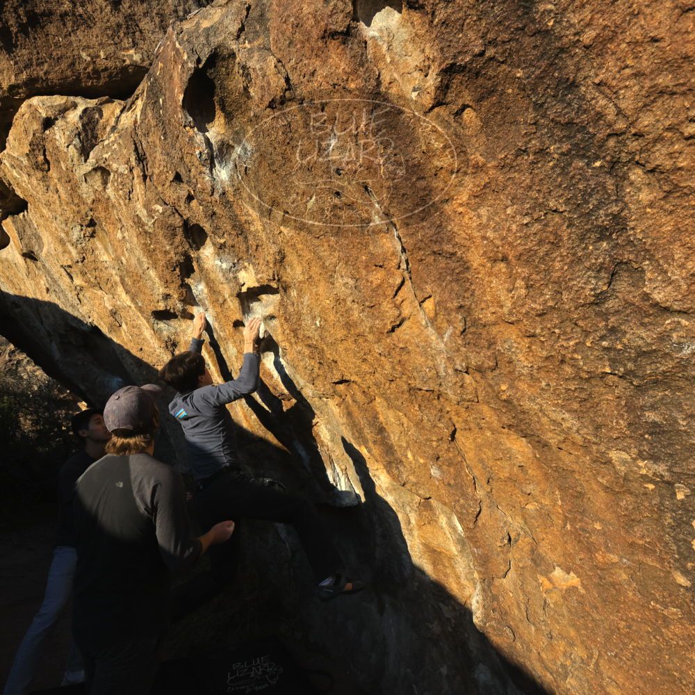 

Filename: SRM_20221120_1618550.jpg
Aperture: f/8.0
Shutter Speed: 1/2000
Body: Canon EOS R6
Lens: Canon EF 16-35mm f/2.8 L