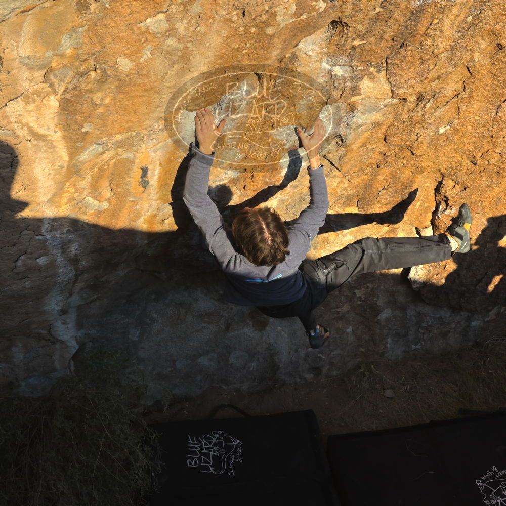 

Filename: SRM_20221120_1621540.jpg
Aperture: f/8.0
Shutter Speed: 1/2000
Body: Canon EOS R6
Lens: Canon EF 16-35mm f/2.8 L