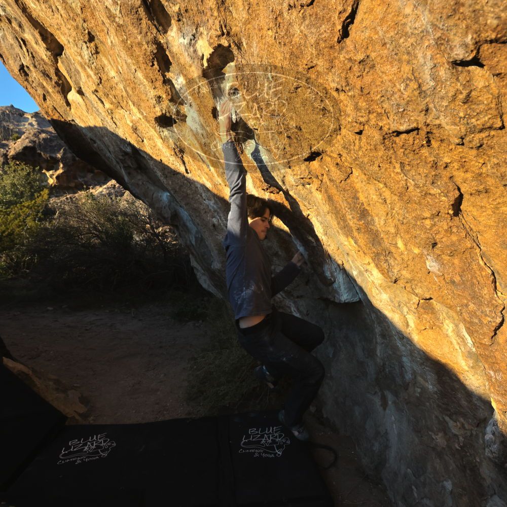 

Filename: SRM_20221120_1625200.jpg
Aperture: f/8.0
Shutter Speed: 1/2000
Body: Canon EOS R6
Lens: Canon EF 16-35mm f/2.8 L