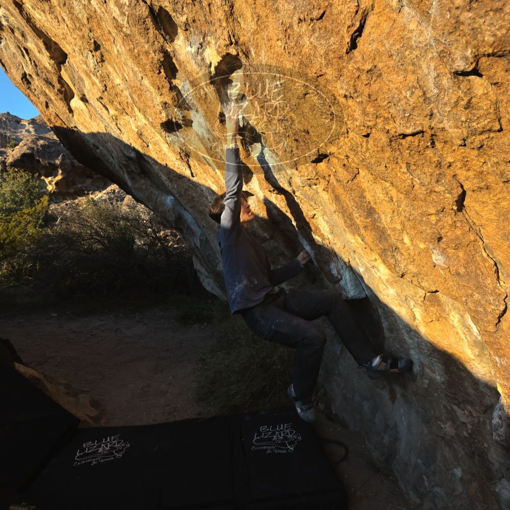 

Filename: SRM_20221120_1625230.jpg
Aperture: f/8.0
Shutter Speed: 1/2000
Body: Canon EOS R6
Lens: Canon EF 16-35mm f/2.8 L