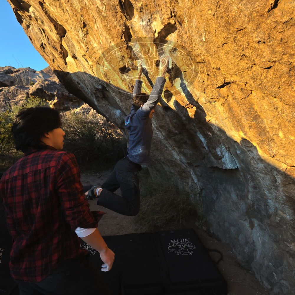 

Filename: SRM_20221120_1632400.jpg
Aperture: f/8.0
Shutter Speed: 1/2000
Body: Canon EOS R6
Lens: Canon EF 16-35mm f/2.8 L