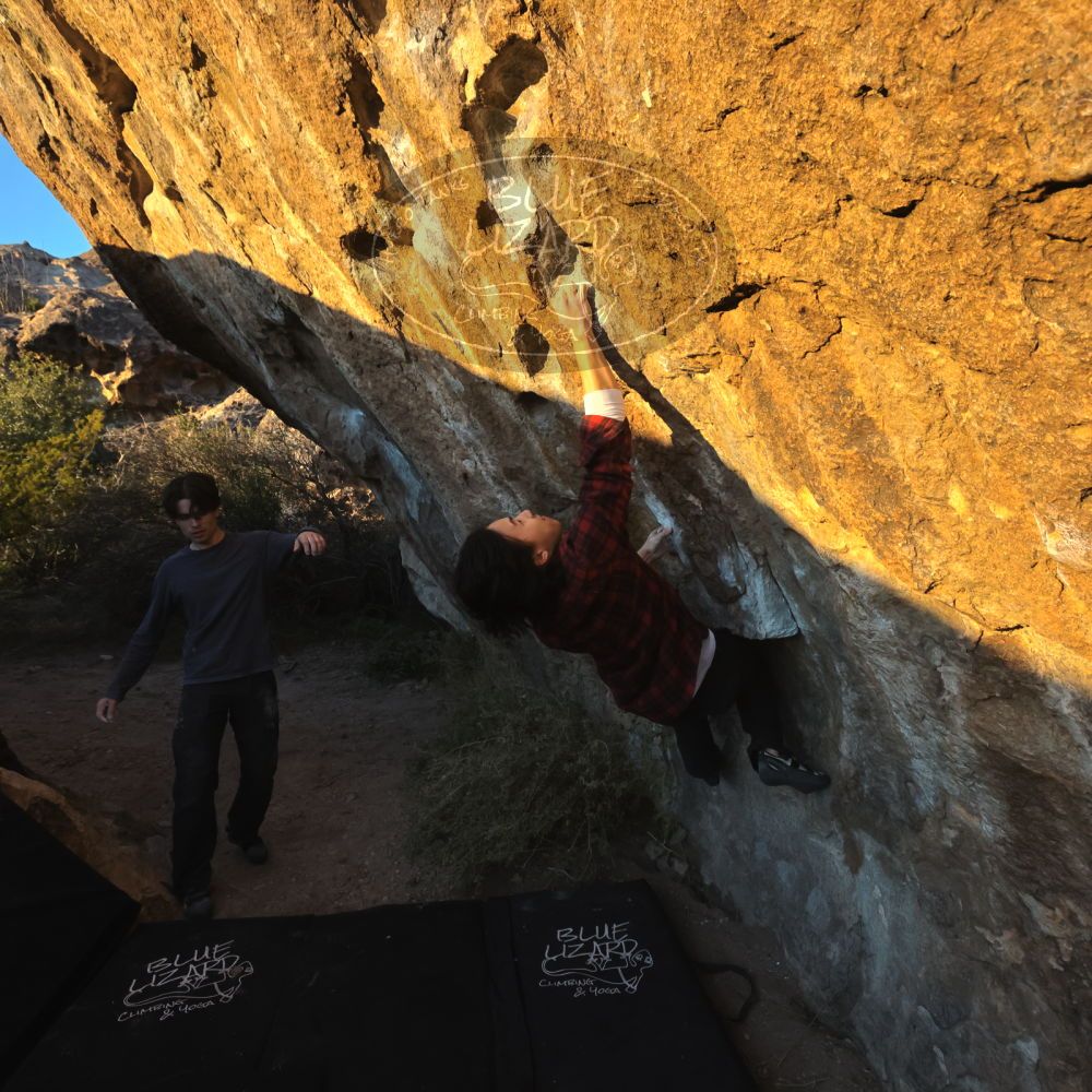 

Filename: SRM_20221120_1633360.jpg
Aperture: f/8.0
Shutter Speed: 1/2000
Body: Canon EOS R6
Lens: Canon EF 16-35mm f/2.8 L