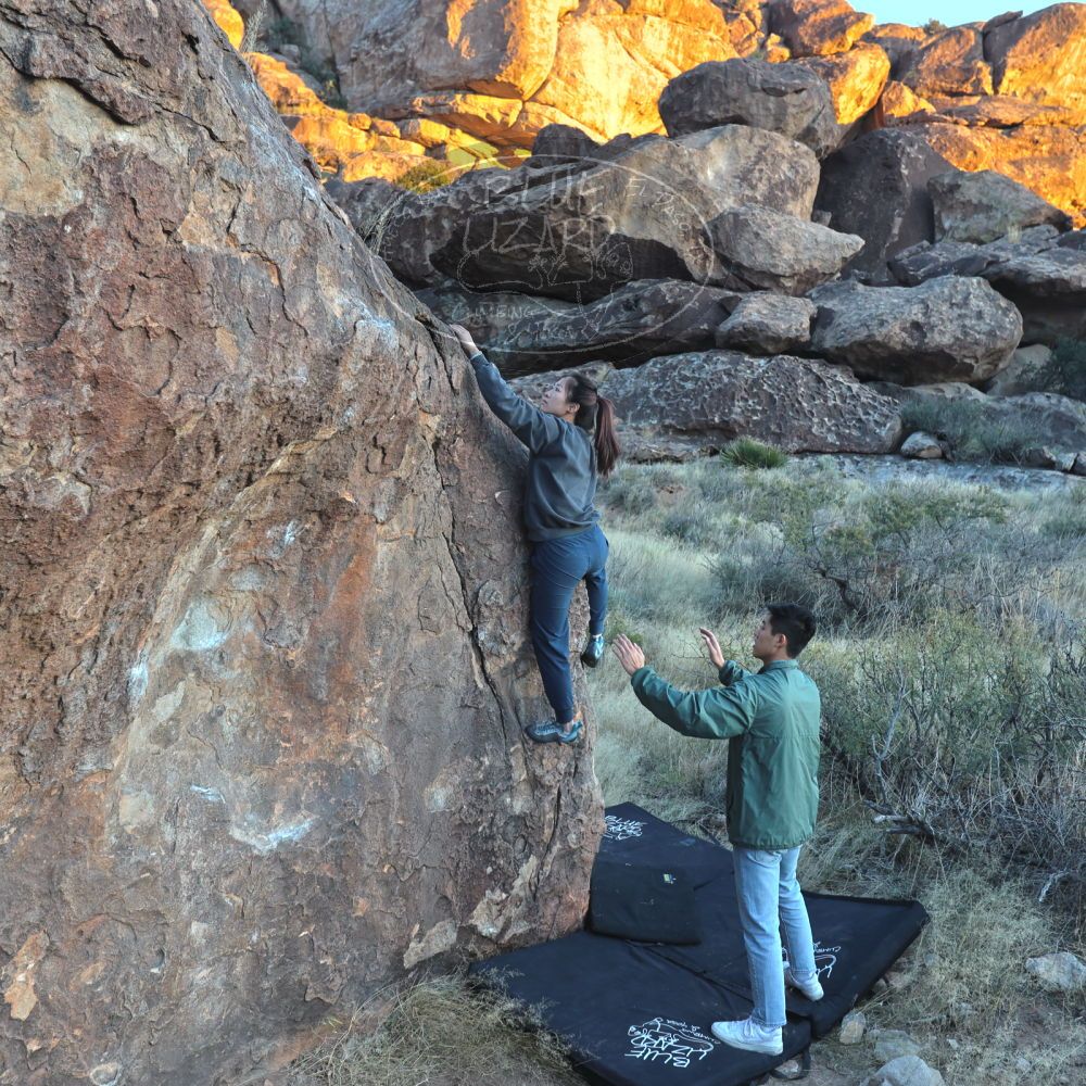 

Filename: SRM_20221120_1644240.jpg
Aperture: f/4.0
Shutter Speed: 1/500
Body: Canon EOS R6
Lens: Canon EF 16-35mm f/2.8 L