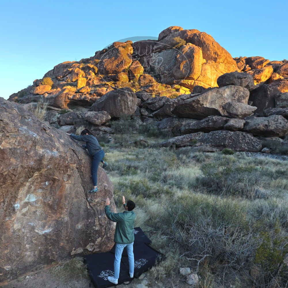 

Filename: SRM_20221120_1644580.jpg
Aperture: f/4.0
Shutter Speed: 1/500
Body: Canon EOS R6
Lens: Canon EF 16-35mm f/2.8 L