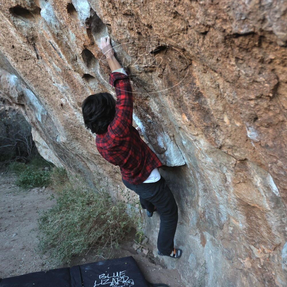 

Filename: SRM_20221120_1659320.jpg
Aperture: f/4.0
Shutter Speed: 1/500
Body: Canon EOS R6
Lens: Canon EF 16-35mm f/2.8 L