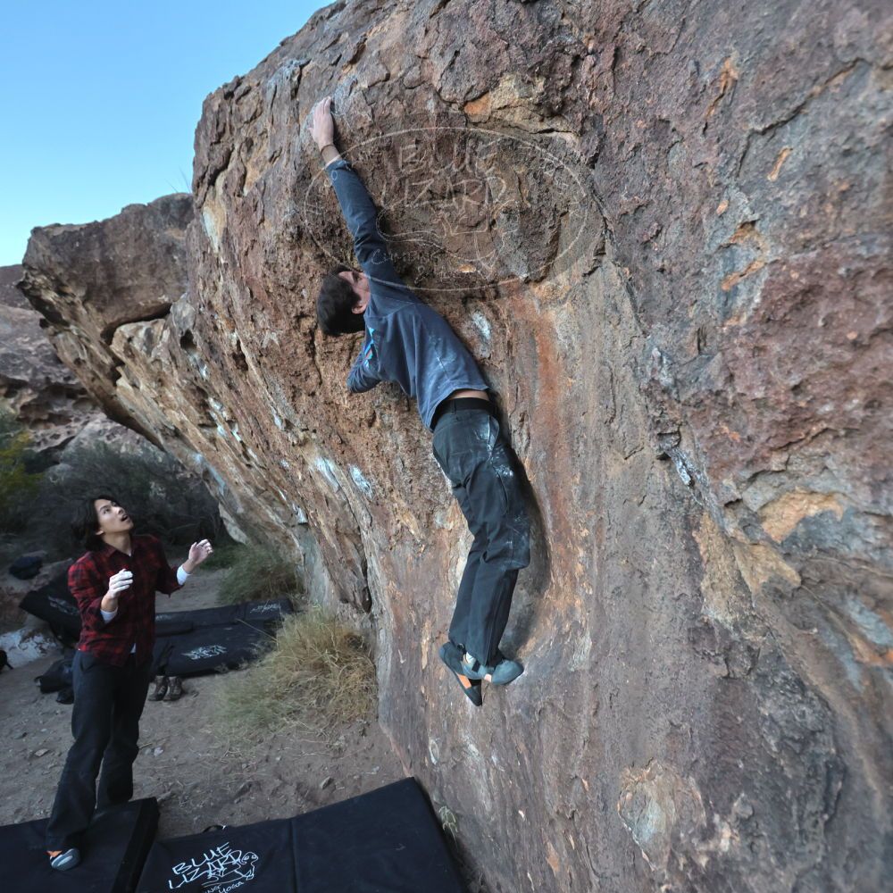 

Filename: SRM_20221120_1703300.jpg
Aperture: f/4.0
Shutter Speed: 1/500
Body: Canon EOS R6
Lens: Canon EF 16-35mm f/2.8 L