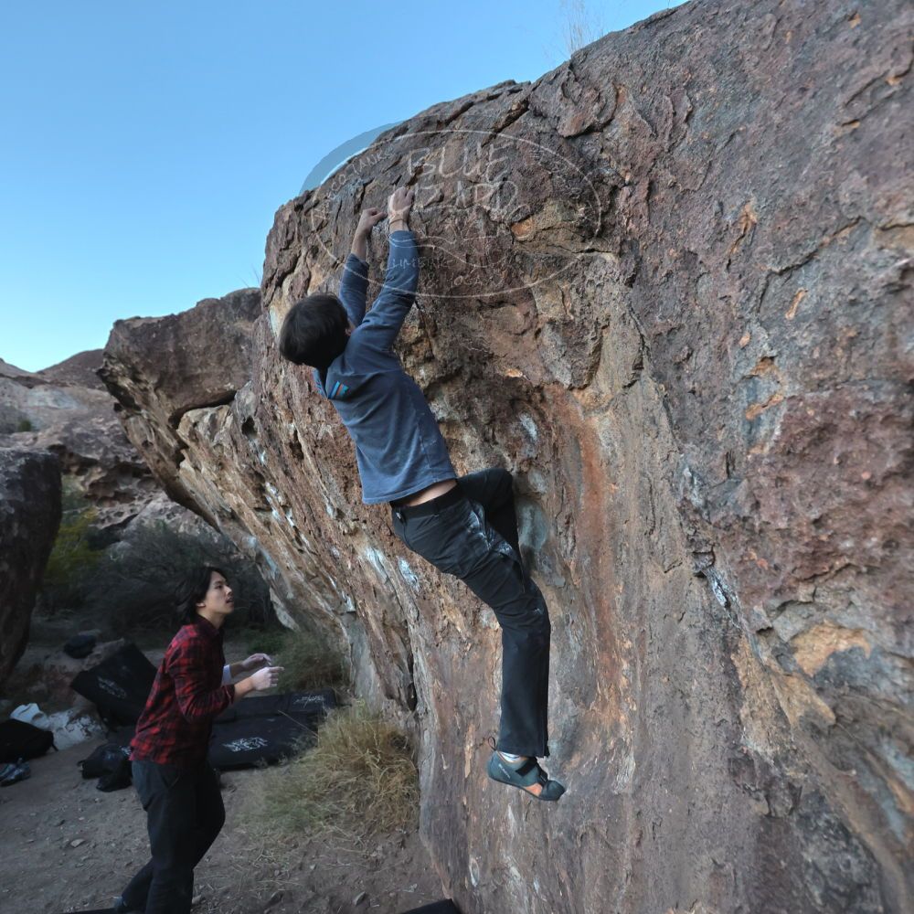 

Filename: SRM_20221120_1704040.jpg
Aperture: f/4.0
Shutter Speed: 1/500
Body: Canon EOS R6
Lens: Canon EF 16-35mm f/2.8 L